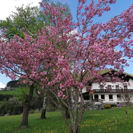 Villa Sinsamreith, Familie Ensmann Göstling an der Ybbs Exterior foto